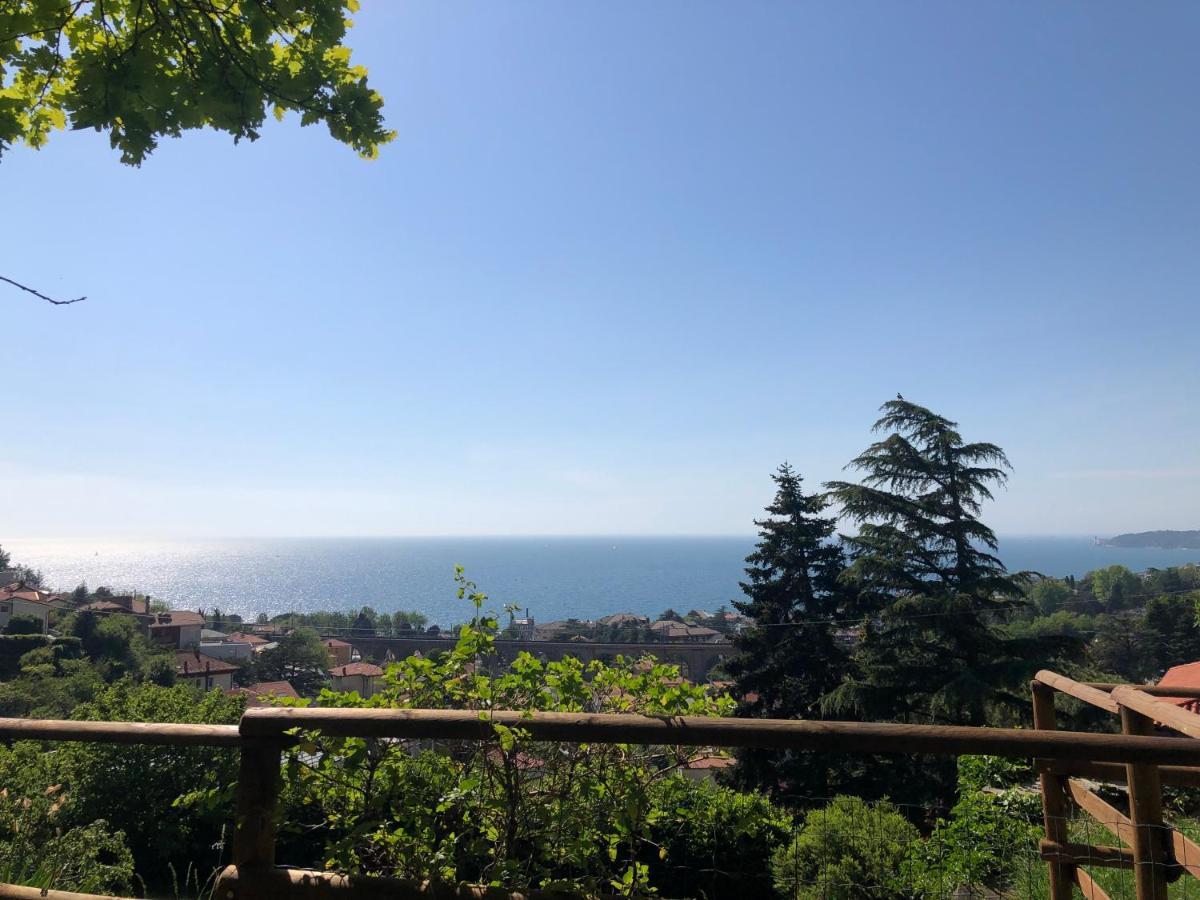 Esperia Casa Vacanza Τεργέστη Εξωτερικό φωτογραφία