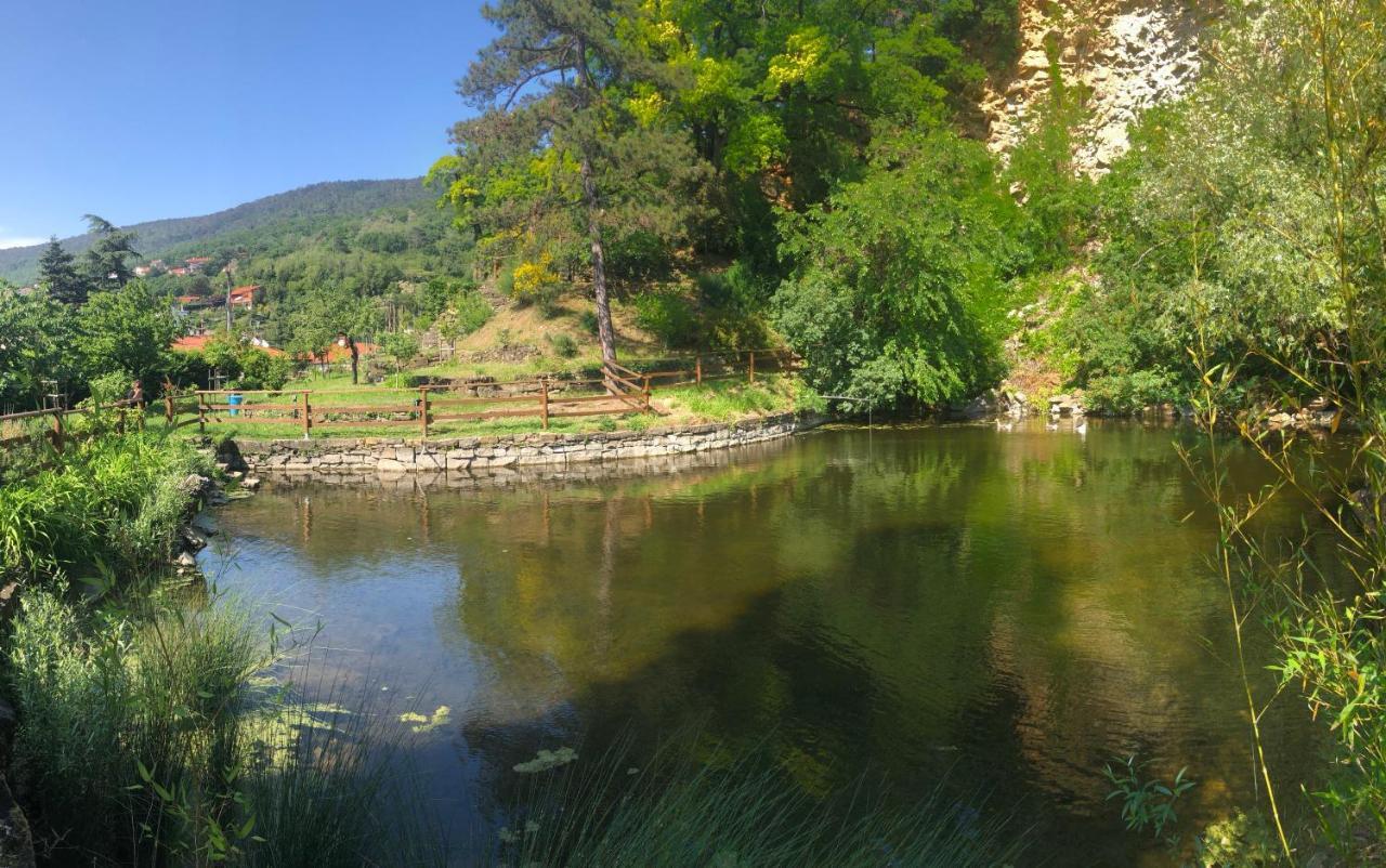 Esperia Casa Vacanza Τεργέστη Εξωτερικό φωτογραφία